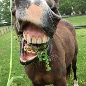 Meet your Posher, Luke🔥